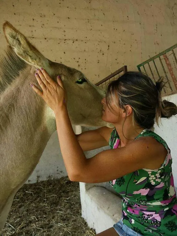 منزل الضيف سانتا تيريزا غالّورا  في Eucaliptus Farm Retreat إيطاليا