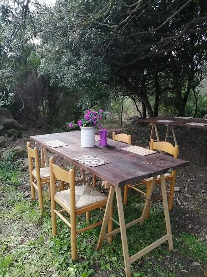 Eucaliptus Farm Retreat Guest House Santa Teresa Gallura