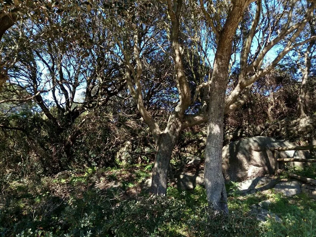 Eucaliptus Farm Retreat Guest House Santa Teresa Gallura Country house