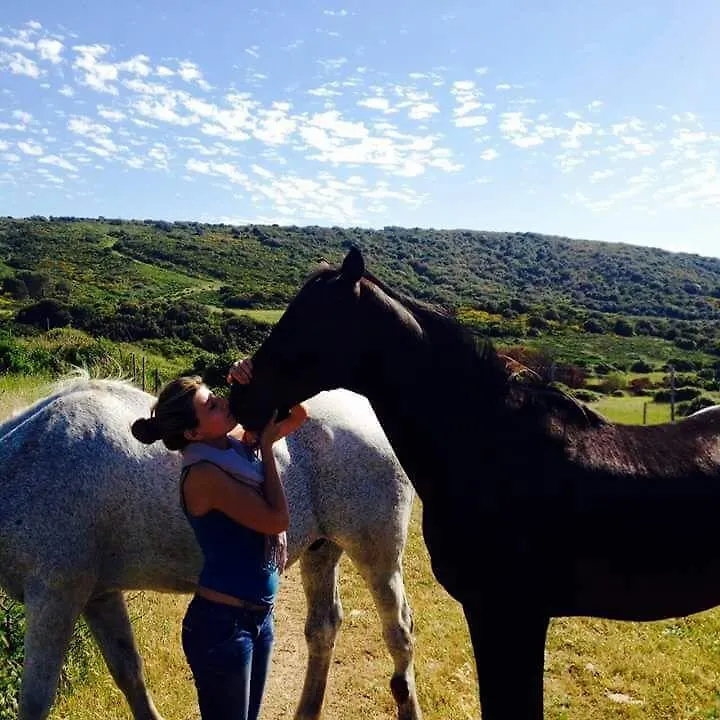 Eucaliptus Farm Retreat Guest House Santa Teresa Gallura Country house