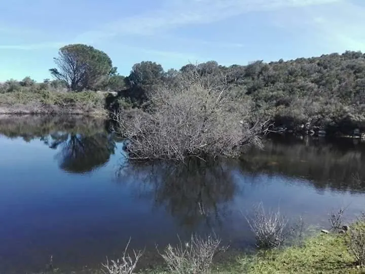 Eucaliptus Farm Retreat Guest House Santa Teresa Gallura